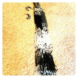 A necklace and earrings set